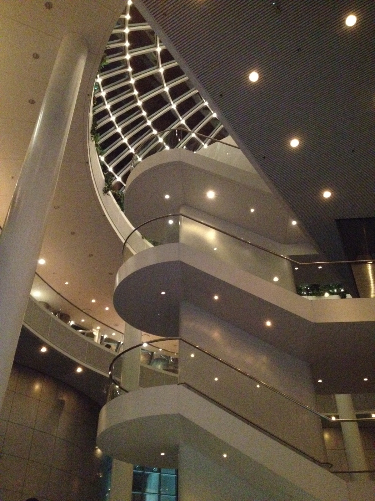 648 DSC08663a IMG 2584